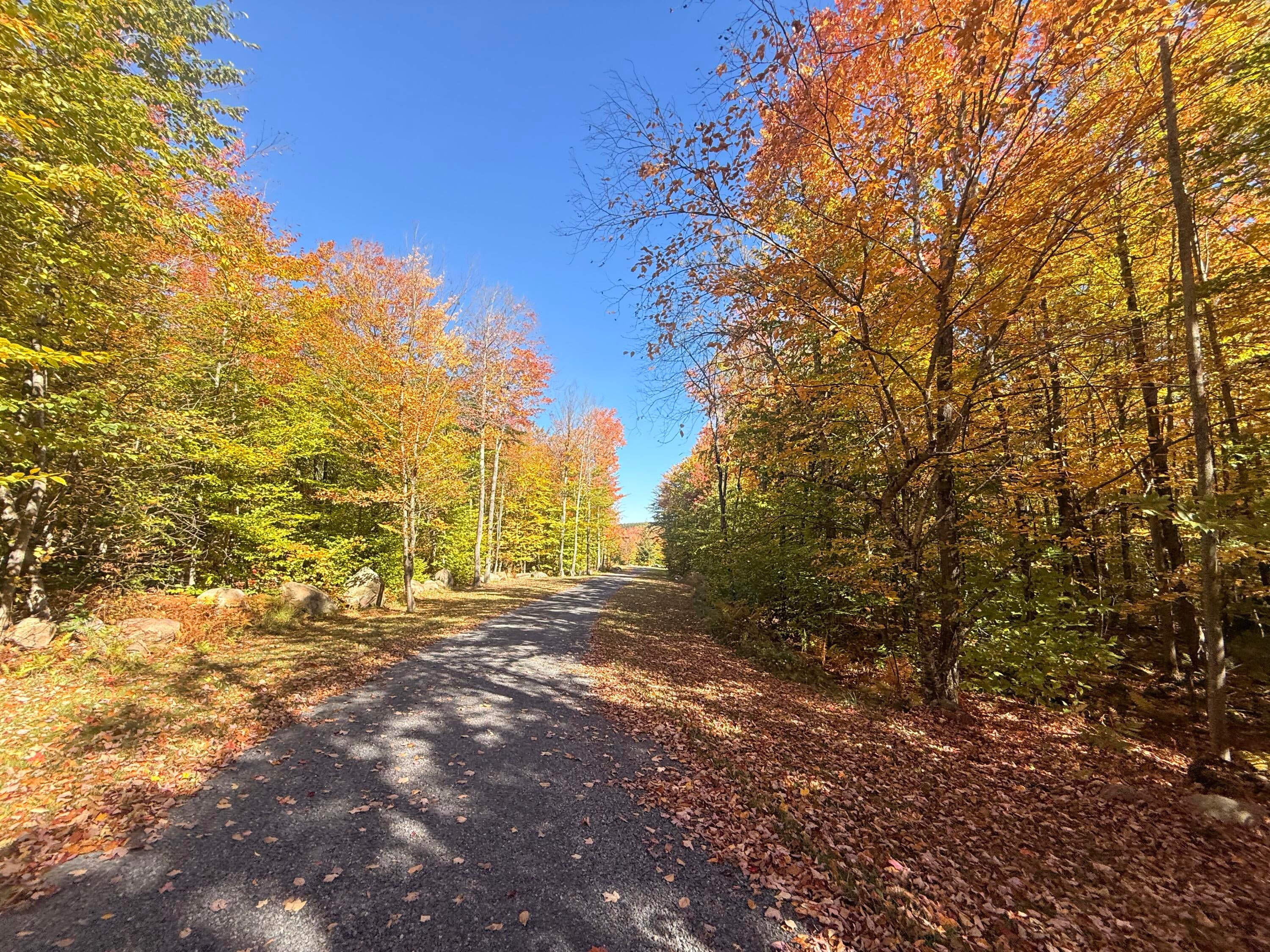 58 Hewitt Road St. Regis Falls, NY 12980 - Photo 133 of 139 Gallery Image 133