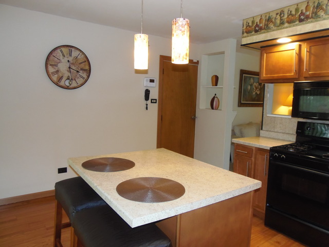 22226 Rockingham Road Richton Park, IL 60471 - Photo 6 of 15