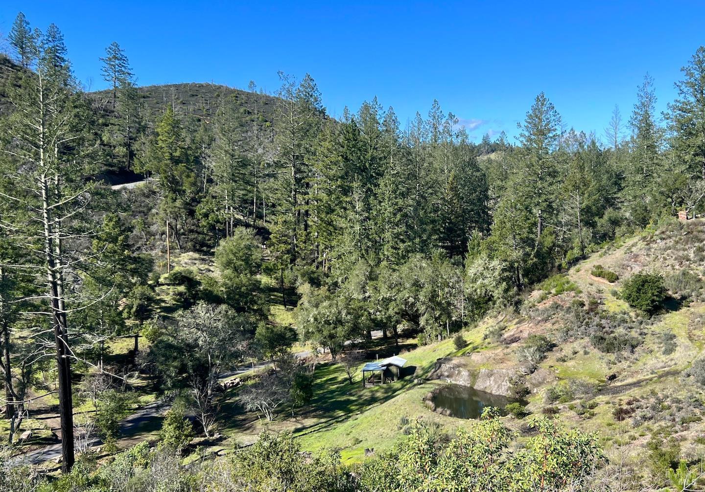 9501 Franz Valley School Road Calistoga, CA 94515 - Photo 5 of 13