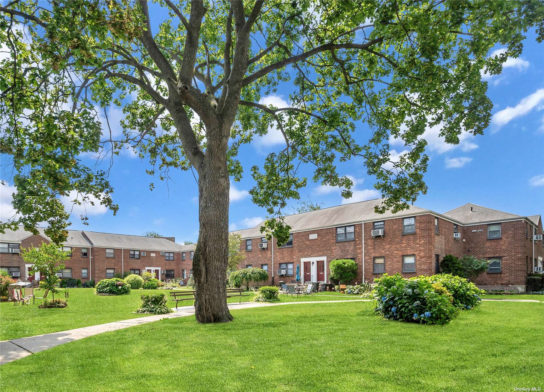 Clearview Gardens Coop Maintenance Fees Fasci Garden