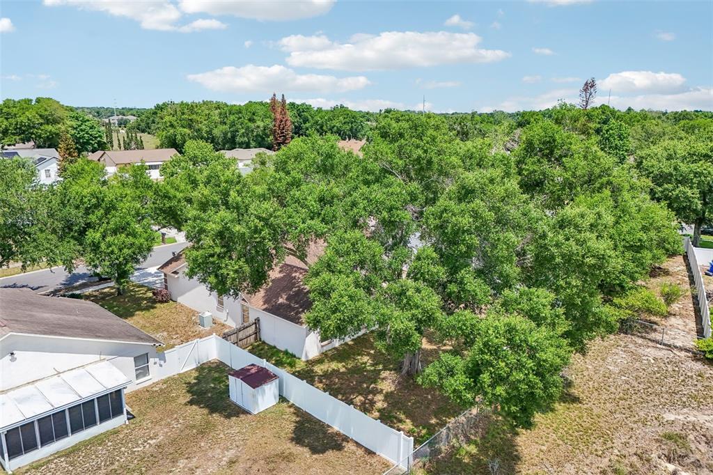 2596 Alclobe Circle Ocoee, FL 34761 - Photo 67 of 70 a view of a garden