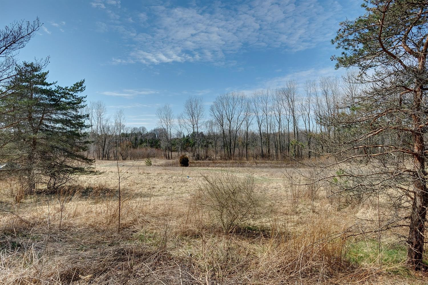 20350 Logan Road Manchester, MI 48158 - Photo 19 of 20 Photo 19