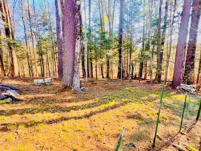 81 Carriage Hill Road Brattleboro, VT 05301 - Photo 12 of 25