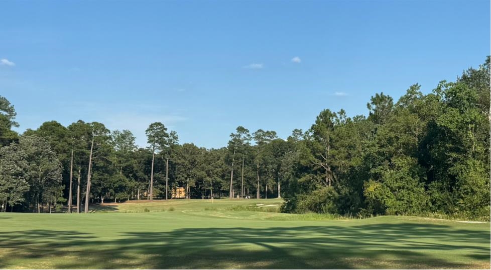 10 Muirfield Court Loxley, AL 36551 - Photo 2 of 8 Community