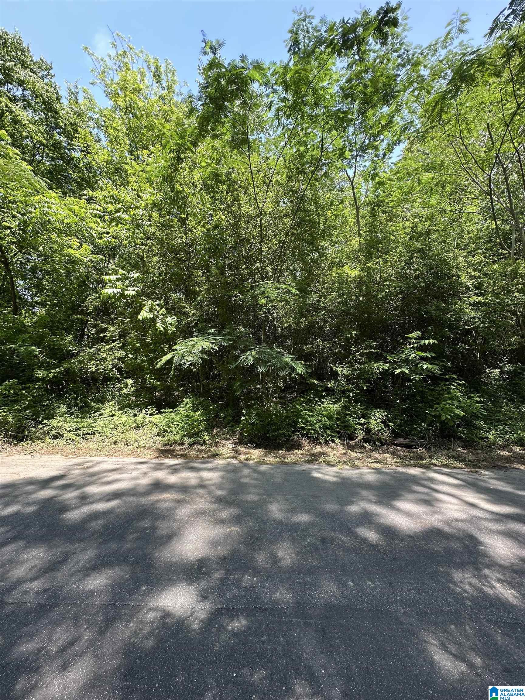 2716 Mary Taylor Road Birmingham, AL 35210 - Photo 2 of 10