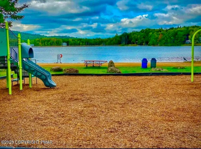 a view of a park with large trees
