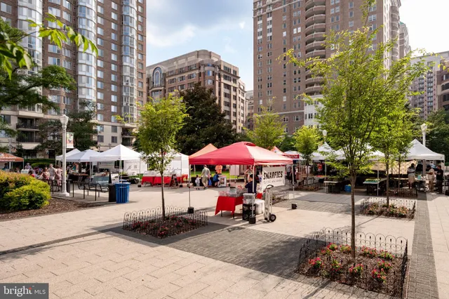 $2,500 | 1001 North Randolph Street, Unit 212, Arlington, VA 22201