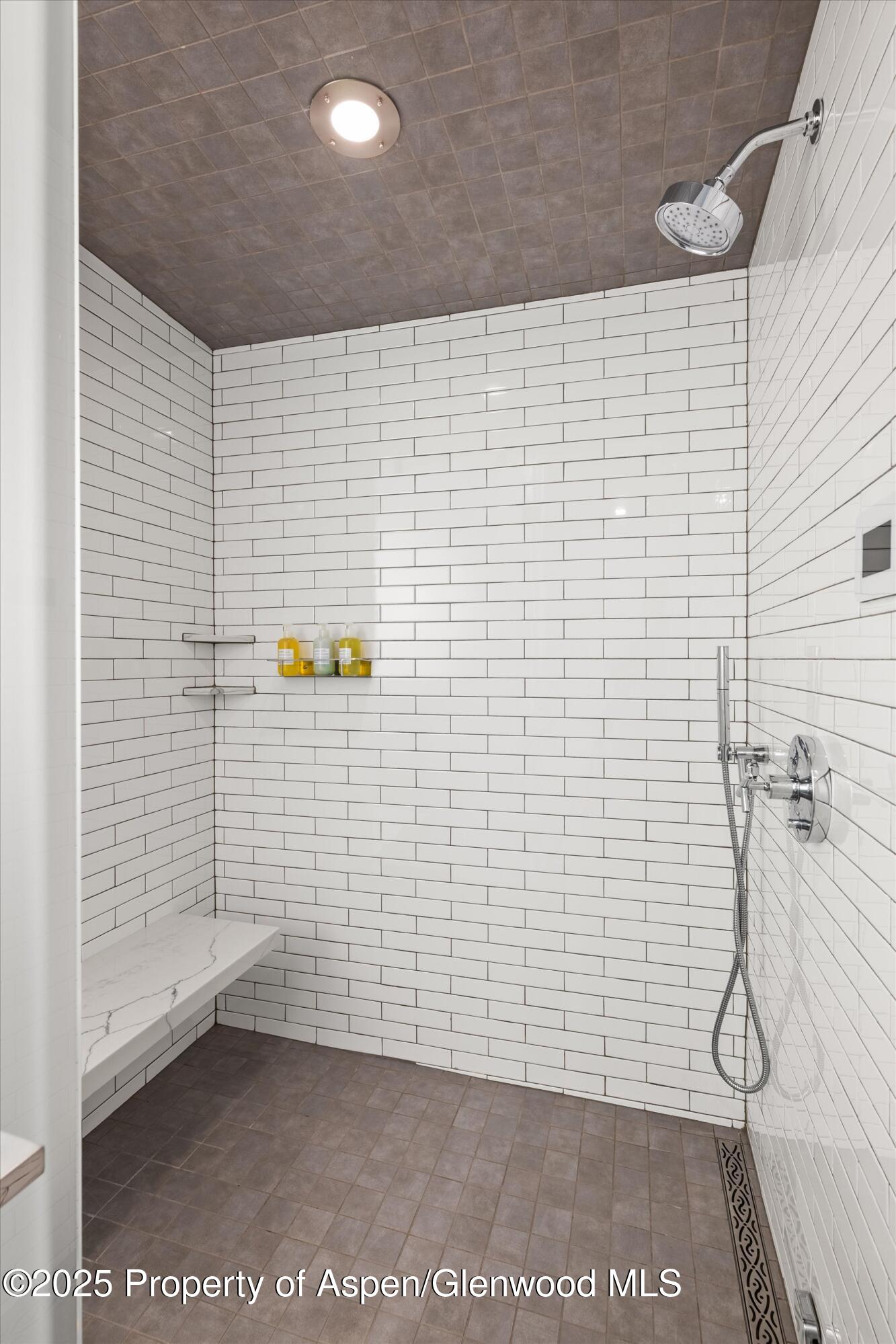 550 South Spring Street, Unit F10 110 Aspen, CO 81611 - Photo 29 of 58 a bathroom with a shower