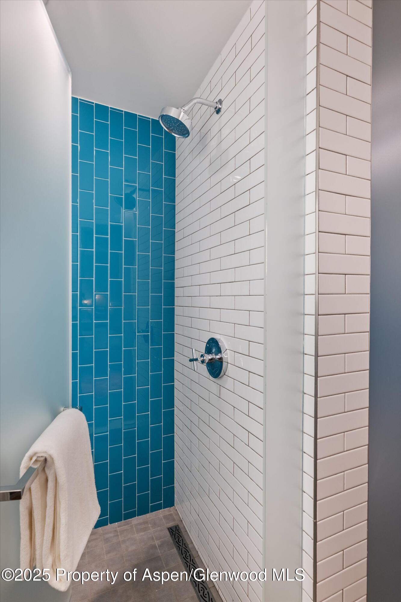 550 South Spring Street, Unit F10 110 Aspen, CO 81611 - Photo 38 of 58 a bathroom with a shower and toilet