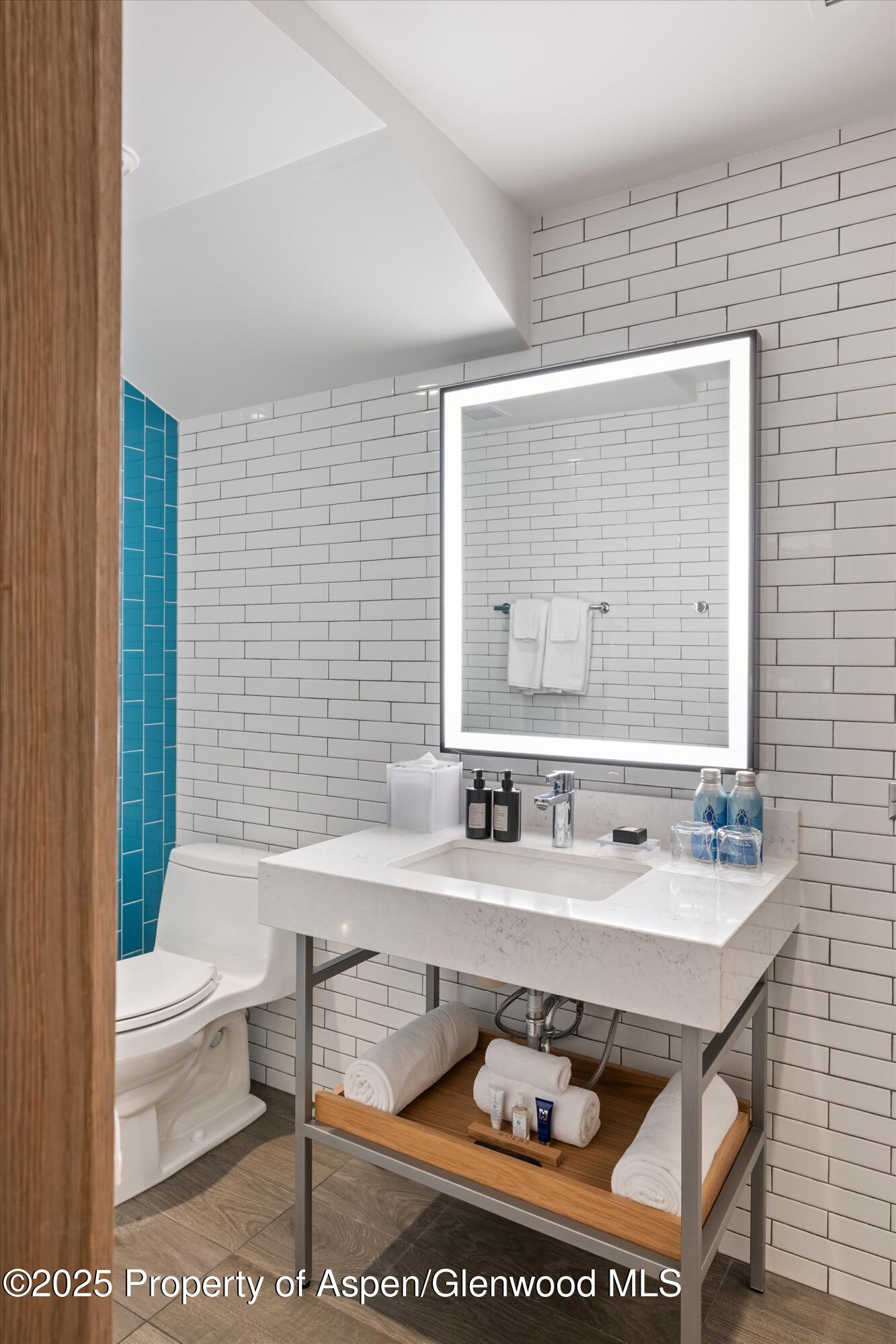 550 South Spring Street, Unit F10 110 Aspen, CO 81611 - Photo 39 of 58 a bathroom with a sink toilet and mirror