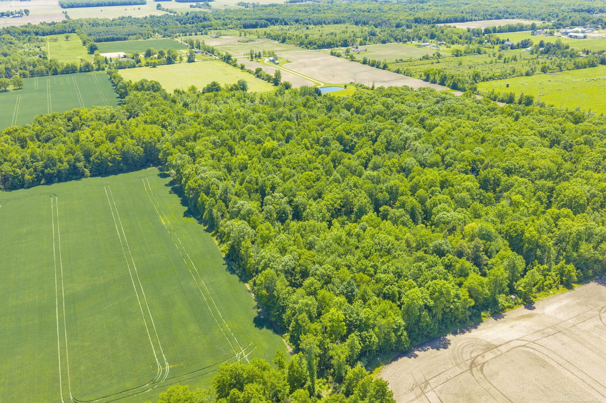 Vl Wellman Line Road Croswell, MI 48422 - Photo 10 of 12