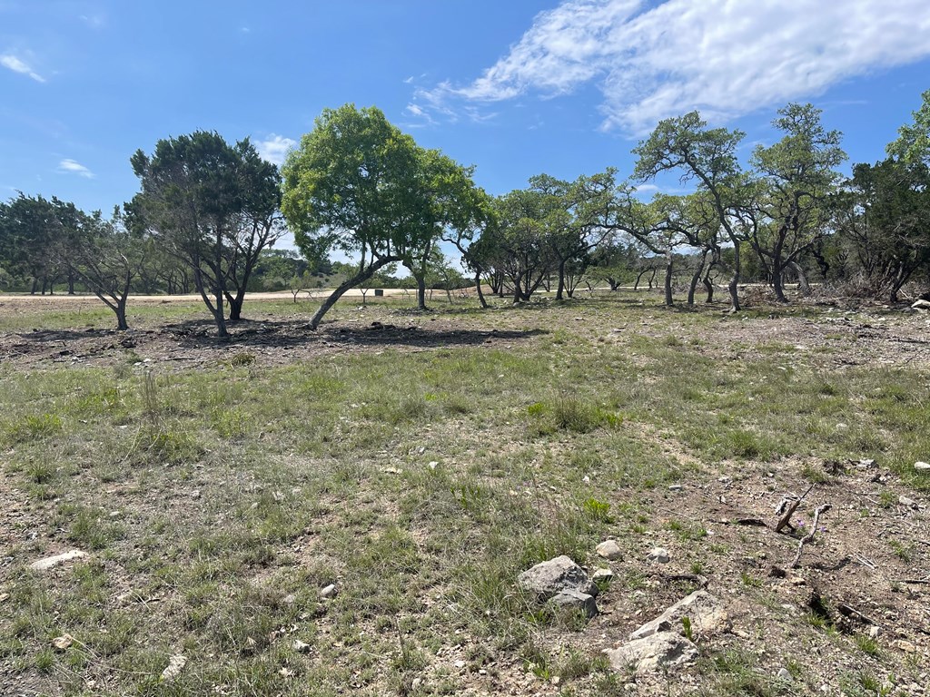 Lot 181 West Starview Road, Unit 181 Blanco, TX 78606 - Photo 31 of 32 Gallery Image 31