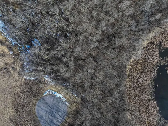 $55,000 | 28630 Clarence Court, Paynesville, MN 56362