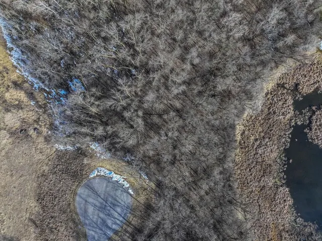 $55,000 | 28630 Clarence Court, Paynesville, MN 56362