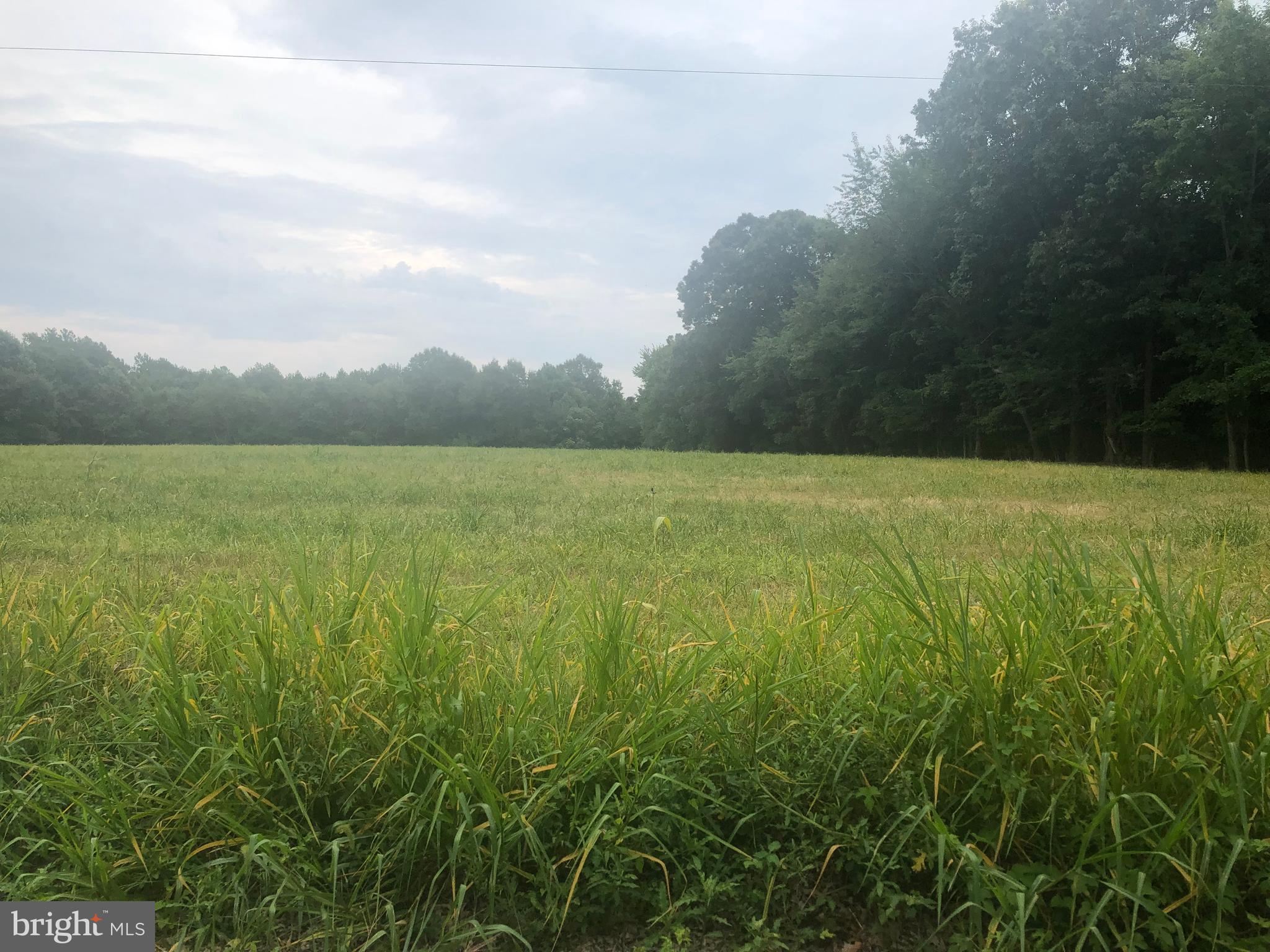 2830 J Lloyd Bowen Road St. Leonard, MD 20685 - Photo 2 of 2