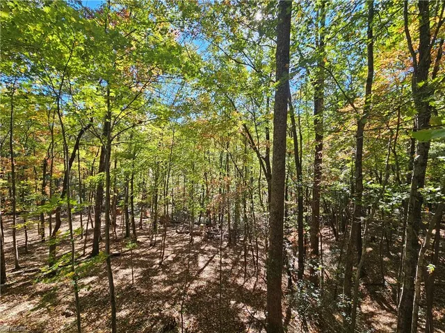 $849,000 | 1228 Powder Horn Mountain Road, Deep Gap, NC 28618
