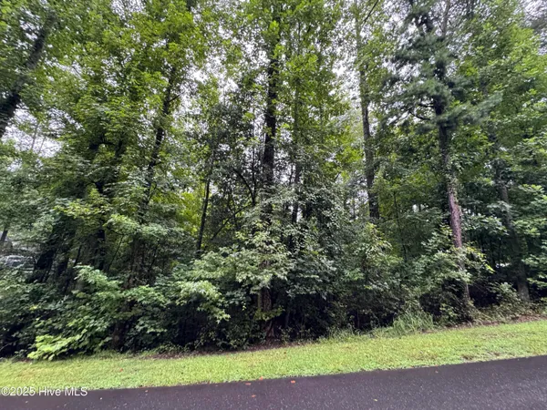 $14,000 | Lot 309 Holiday Drive, Troy, NC 27371