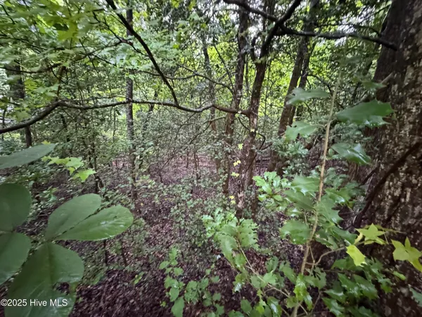 $14,000 | Lot 309 Holiday Drive, Troy, NC 27371