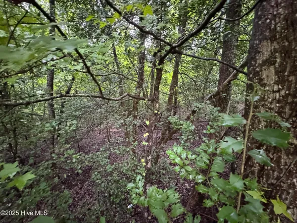 $14,000 | Lot 309 Holiday Drive, Troy, NC 27371