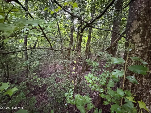 $14,000 | Lot 309 Holiday Drive, Troy, NC 27371