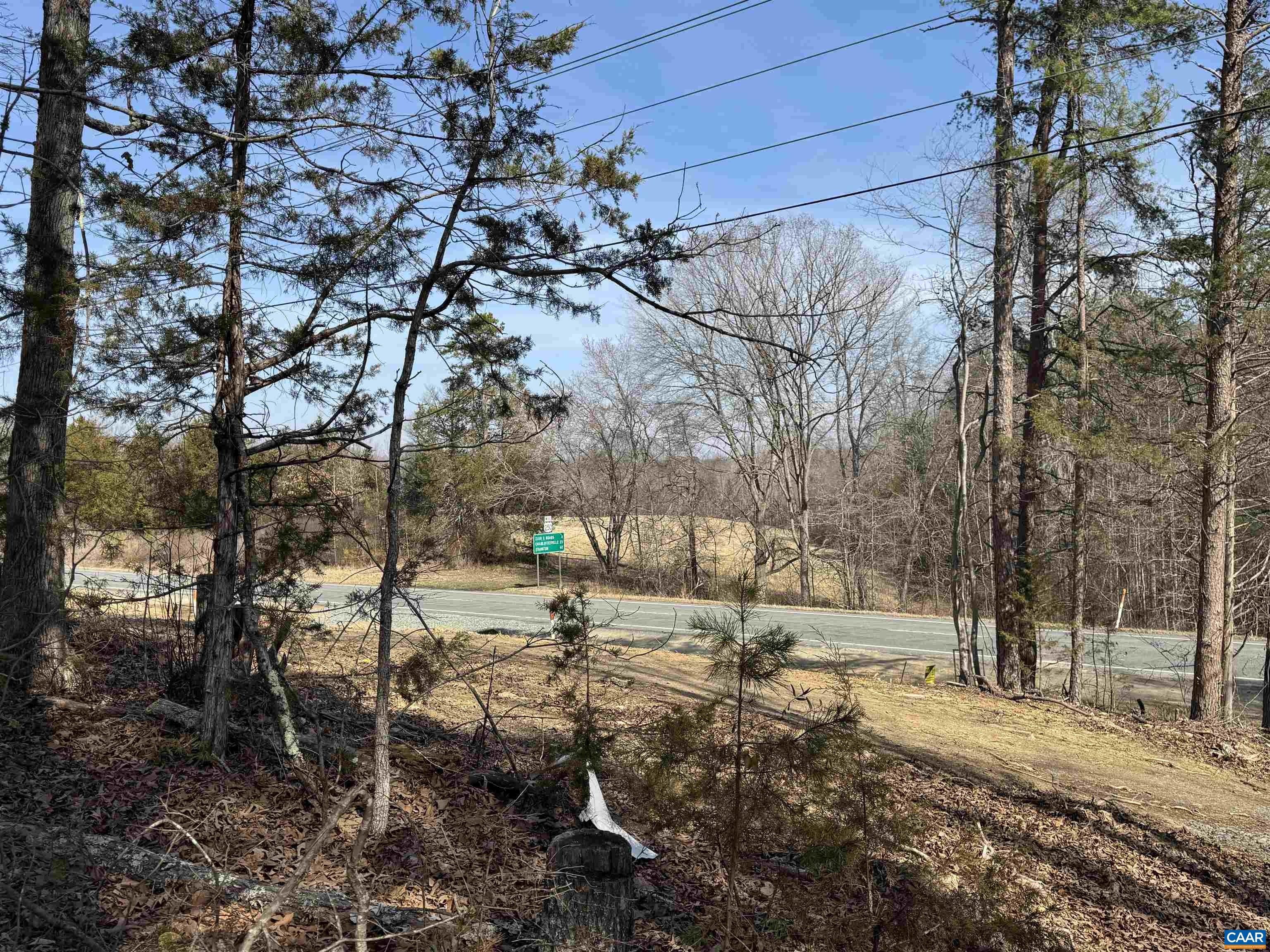 2301 Three Notch Road Kents Store, VA 23084 - Photo 4 of 6 a view of a yard with a tree