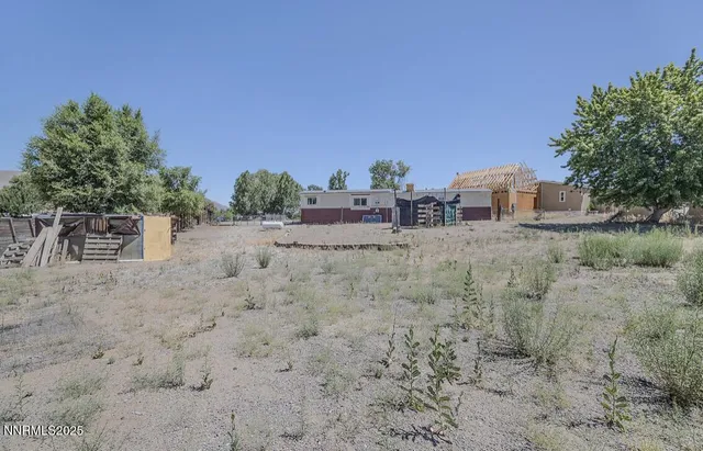 a view of a dry yard with trees