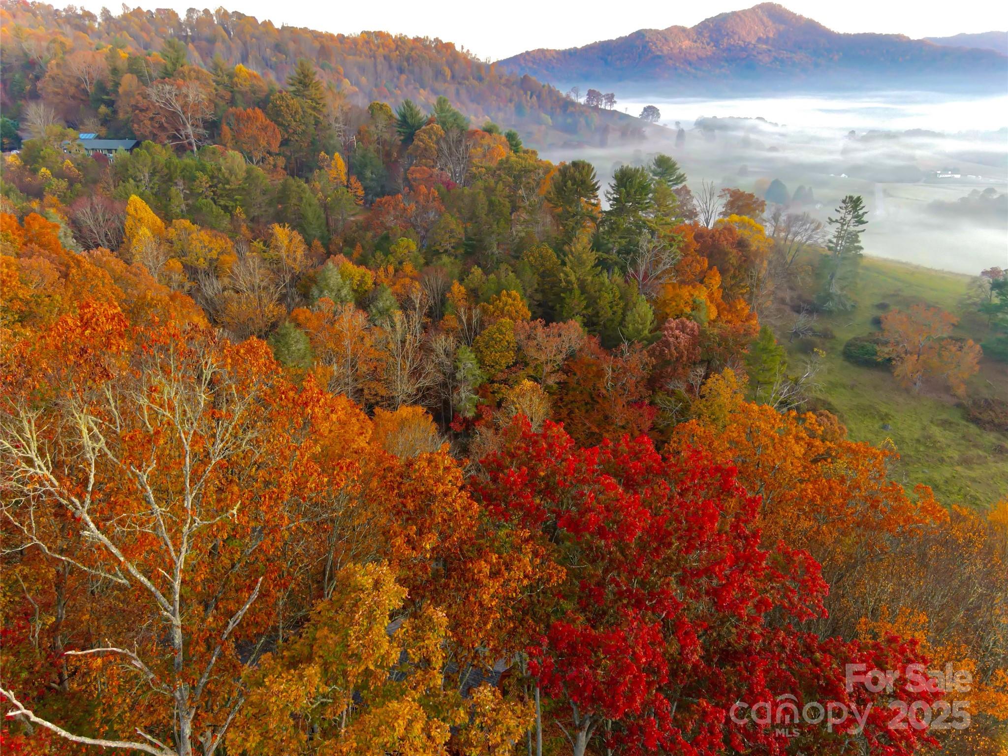 999 Coyote Hollow Road, Unit 39 Waynesville, NC 28785 - Photo 1 of 10