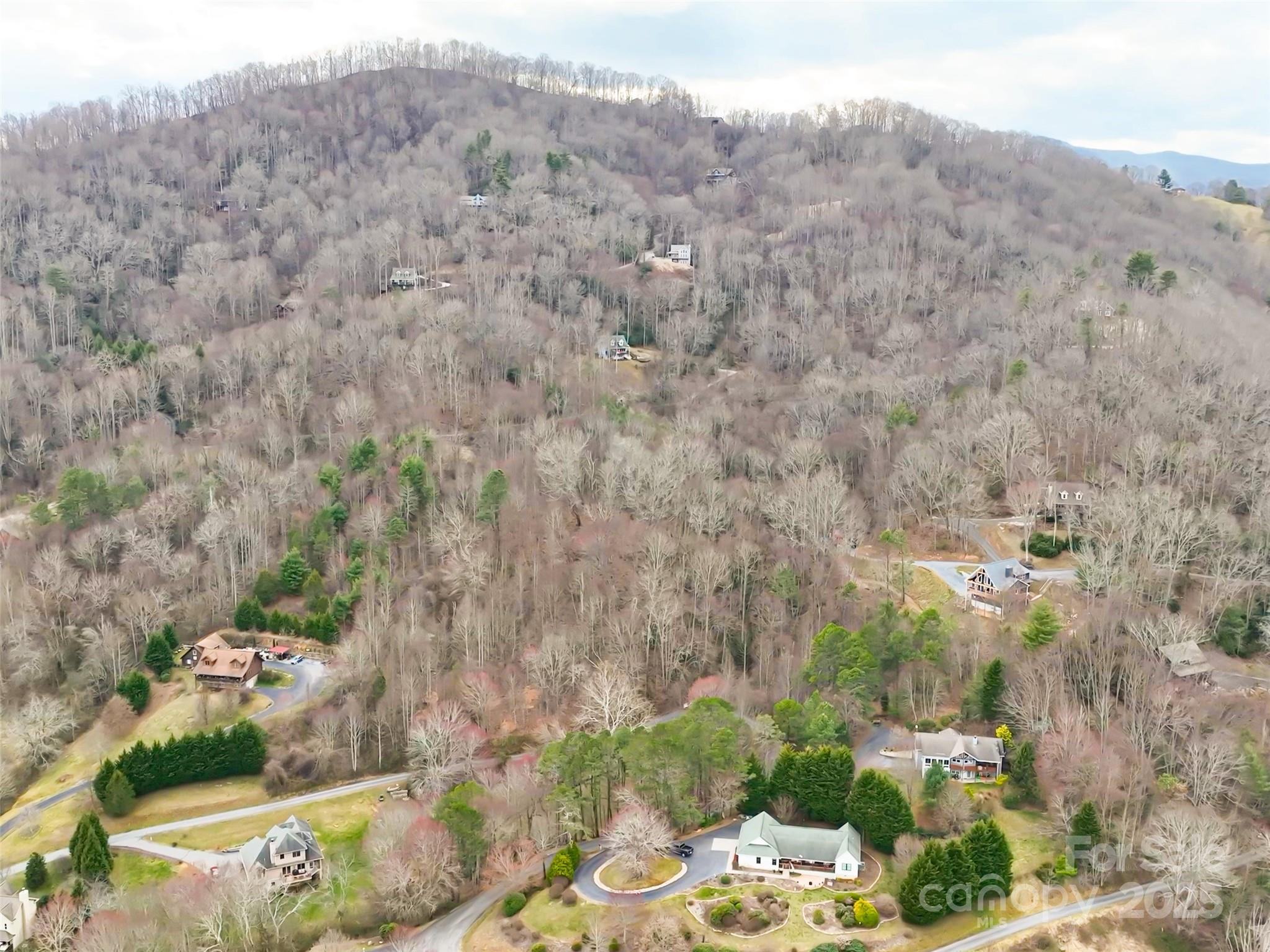 999 Coyote Hollow Road, Unit 39 Waynesville, NC 28785 - Photo 4 of 10