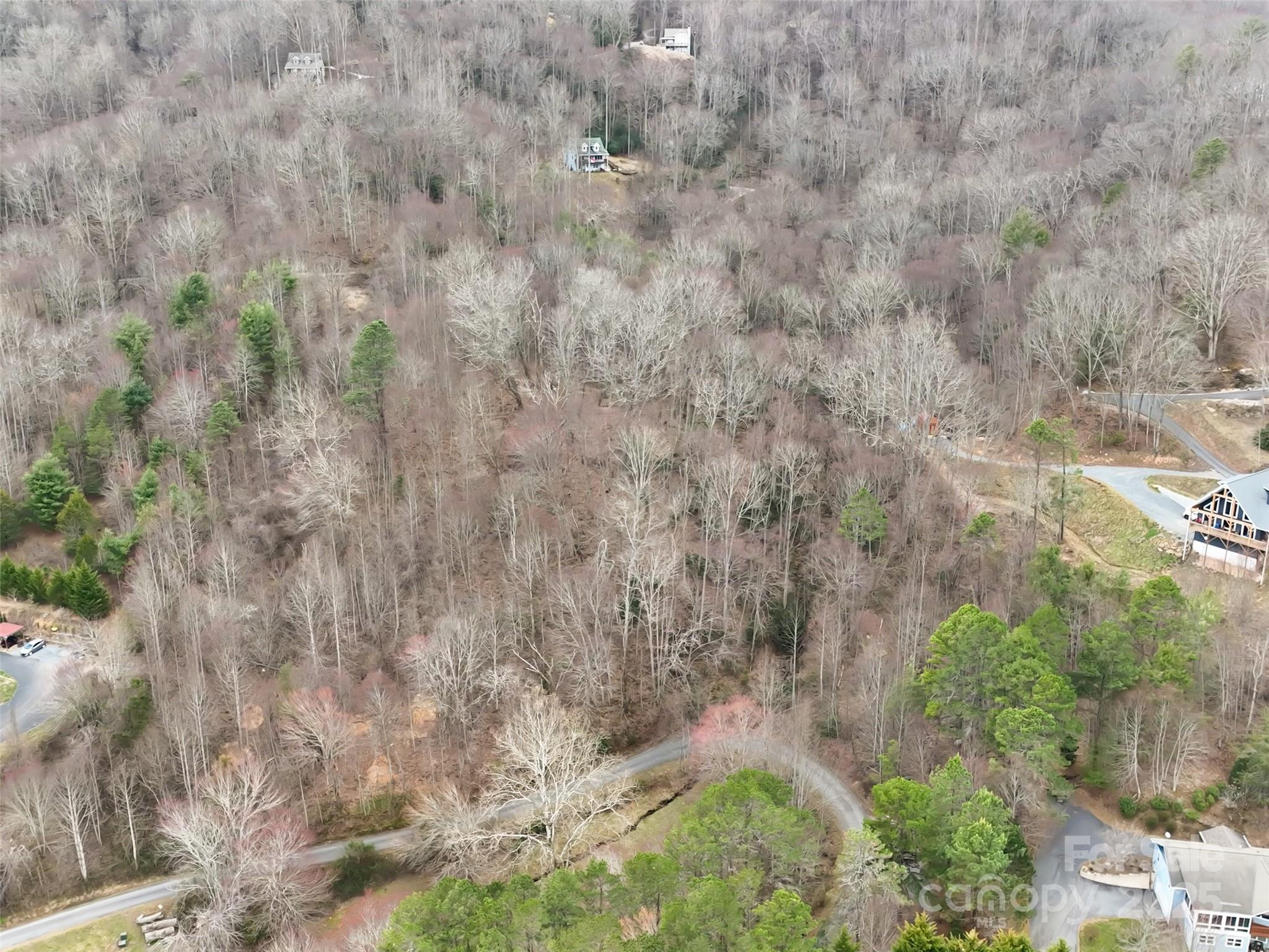 999 Coyote Hollow Road, Unit 39 Waynesville, NC 28785 - Photo 5 of 10