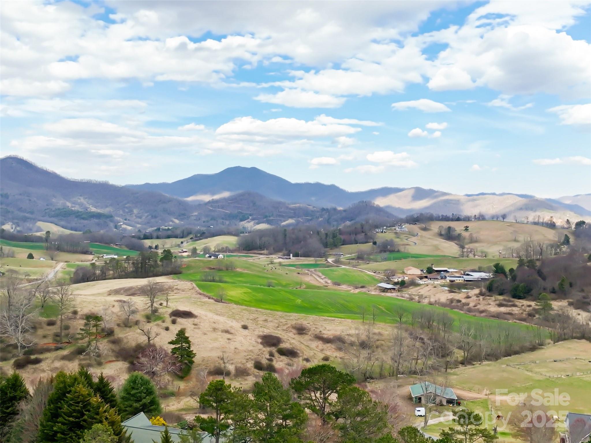 999 Coyote Hollow Road, Unit 39 Waynesville, NC 28785 - Photo 6 of 10