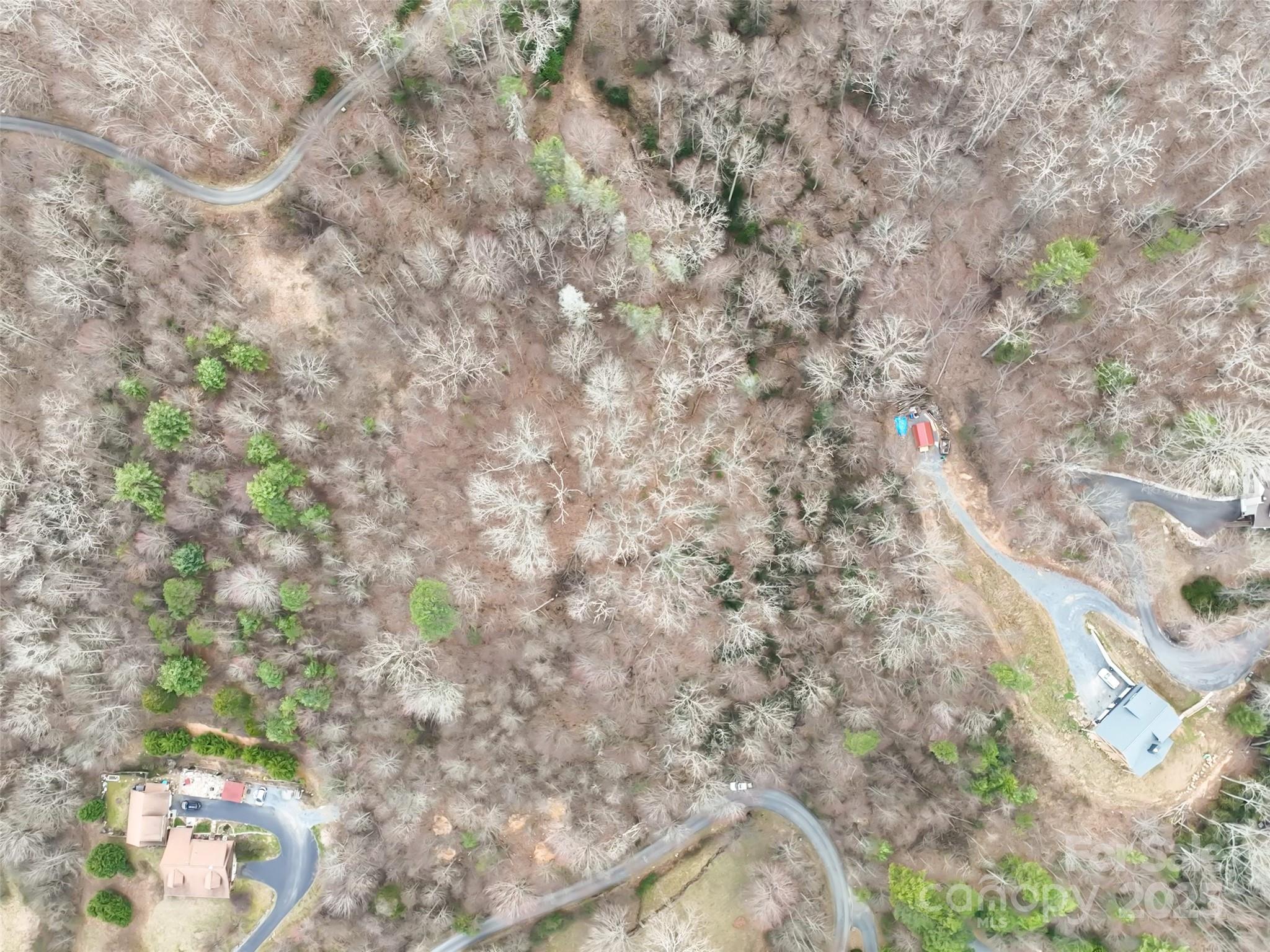 999 Coyote Hollow Road, Unit 39 Waynesville, NC 28785 - Photo 8 of 10