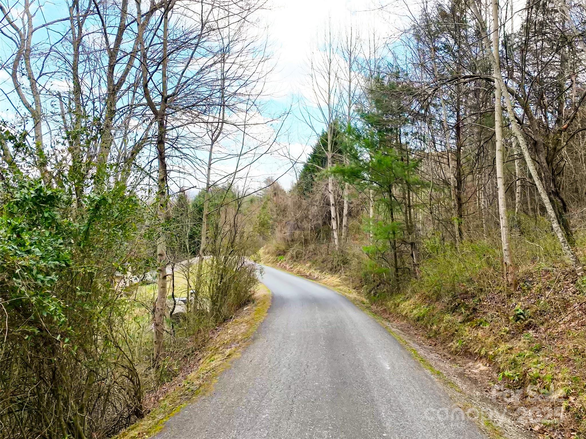 999 Coyote Hollow Road, Unit 39 Waynesville, NC 28785 - Photo 9 of 10