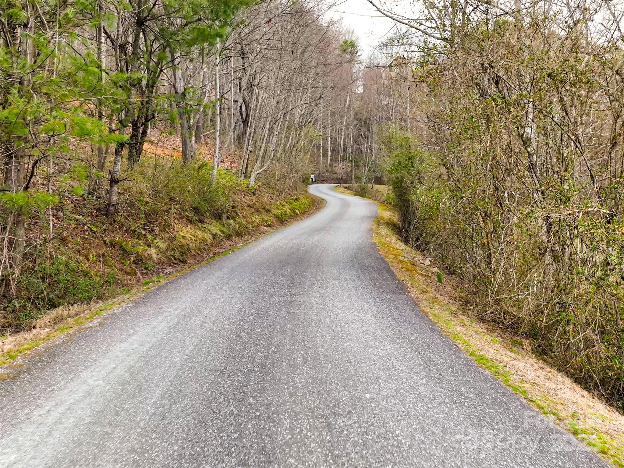 999 Coyote Hollow Road, Unit 39 Waynesville, NC 28785 - Photo 10 of 10