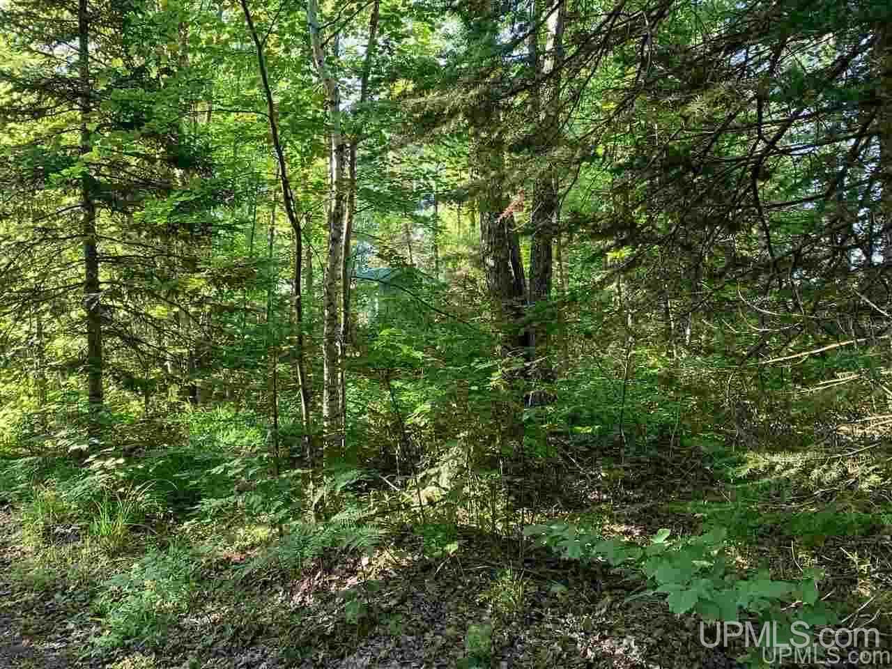 8683 West Niemi Road Saxon, WI 54559 - Photo 25 of 41 Gallery Image 25