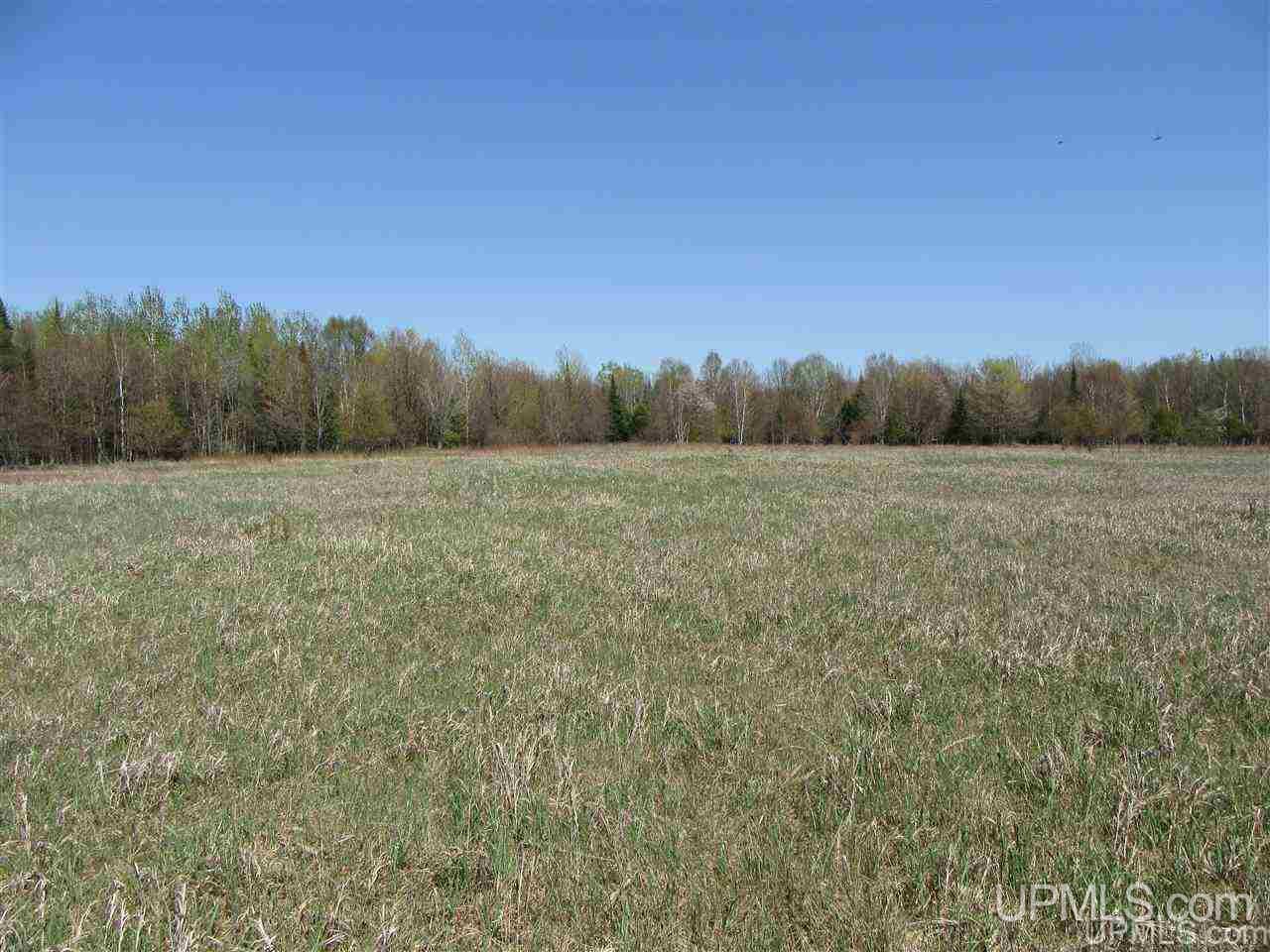 Tbd Kendall Road Manistique, MI 49854 - Photo 7 of 9