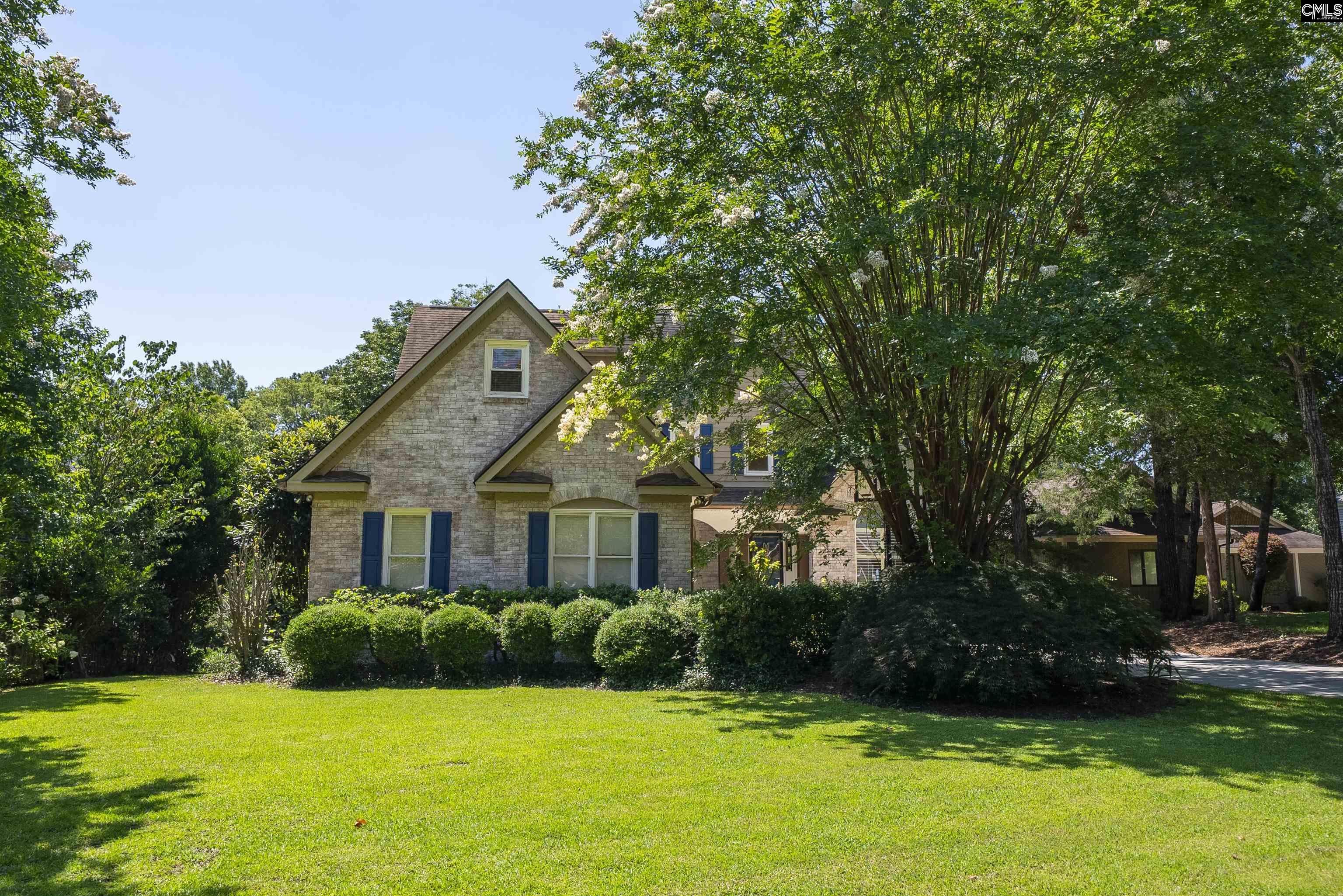 128 Stoney Point Lane Chapin, SC 29036 - Photo 8 of 79