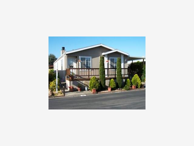 a picture of a living room with a small yard