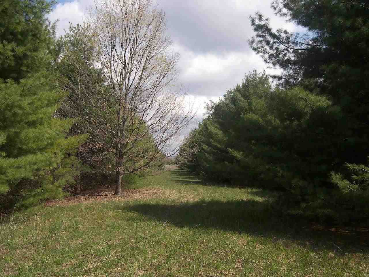 12426 South Maple City Road Maple City, MI 49664 - Photo 78 of 98 1889228-77.JPG