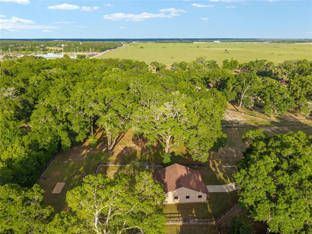 8117 Southwest 41st Place Road Ocala, FL 34481 - Photo 22 of 55