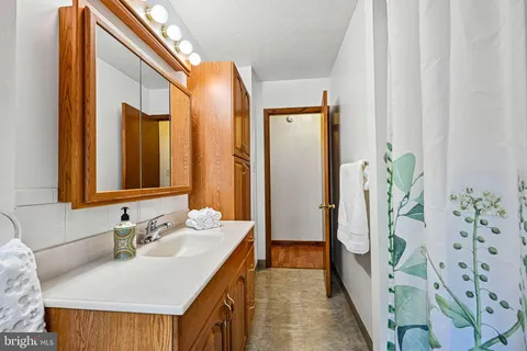 a bathroom with a sink a mirror and a shower