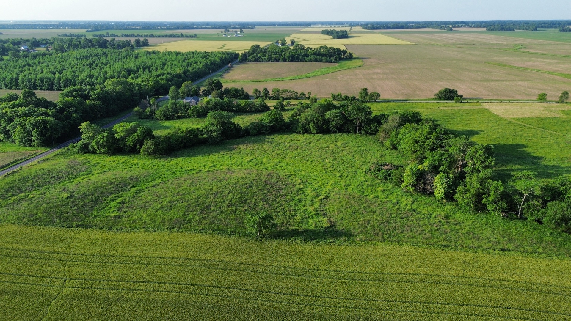 0 County Highway 29 Road Rinard, IL 62878 - Photo 8 of 28