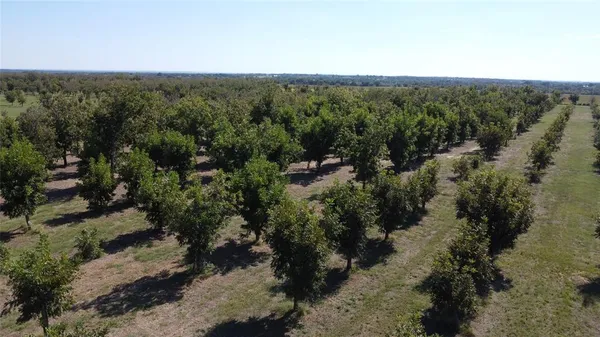 a view of a forest with a street