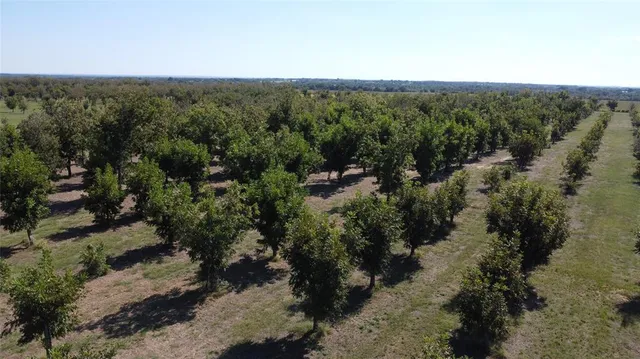 a view of a forest with a street