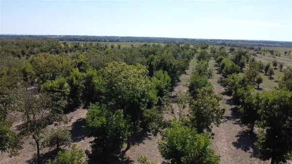 a view of a city with lush green forest