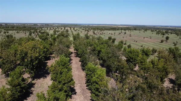an aerial view of a forest