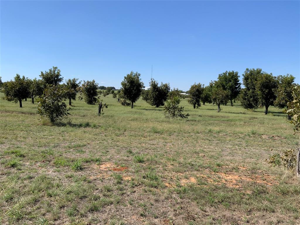 Tbd Tbd Fm-2861 Comanche, TX 76442 - Photo 9 of 11 a view of field with trees in background