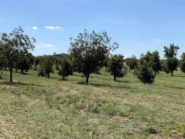 a view of a lake with a mountain in the back