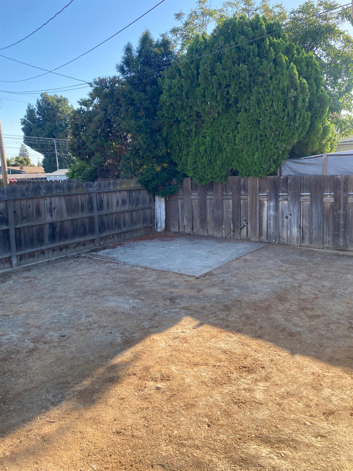 947 West Friesen Avenue Reedley, CA 93654 - Photo 29 of 34 a view of a backyard with plants and wooden fence