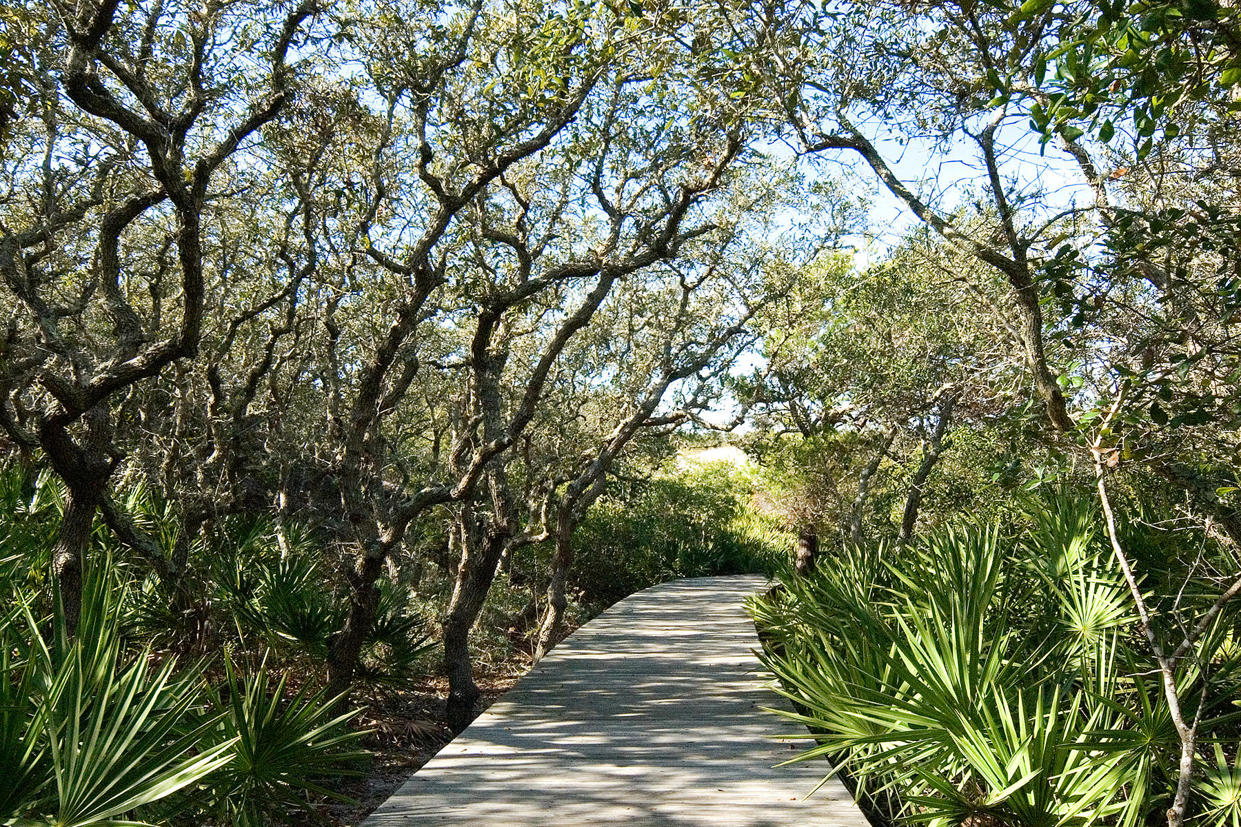 99 Compass Point Way, Unit 303 Watersound, FL 32461 - Photo 24 of 24 a view of a pathway both side of yard
