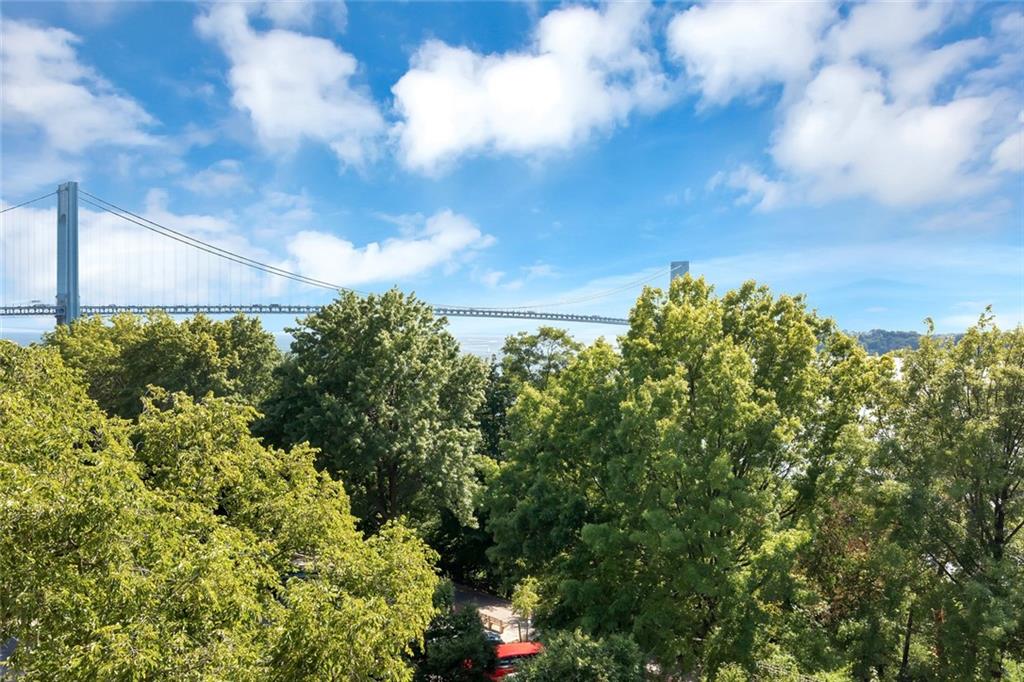 9281 Shore Road, Unit 602 Brooklyn, NY 11209 - Photo 4 of 17 a view of a bunch of trees